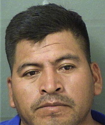 Edgar Ramirezramirez, - Palm Beach County, FL 